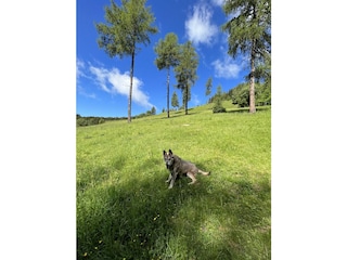 Vakantieappartement St. Urban Buitenaudio-opname 27