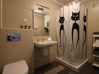 Appartamento per vacanze Porec Caratteristiche 24