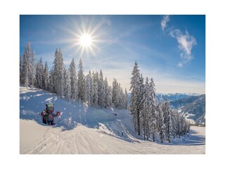 Appartamento Eben im Pongau Ambiente 17