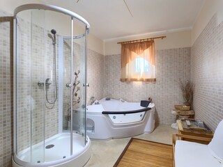 Villa Šišan Caratteristiche 18