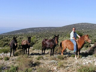 Appartamento per vacanze Supetar Registrazione all'aperto 15