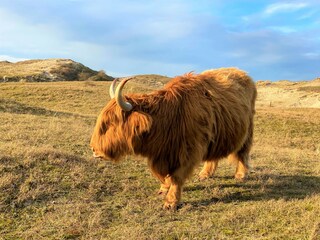 Casa per le vacanze Egmond aan Zee Ambiente 26