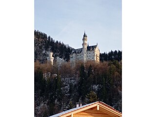 Schloss Neuschwanstein