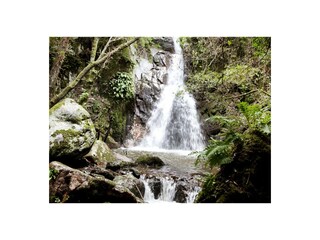 Appartamento per vacanze Seneghe Ambiente 22