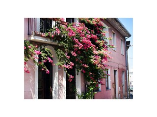 Appartamento per vacanze Seneghe Registrazione all'aperto 2