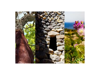 Appartamento per vacanze Seneghe Ambiente 25