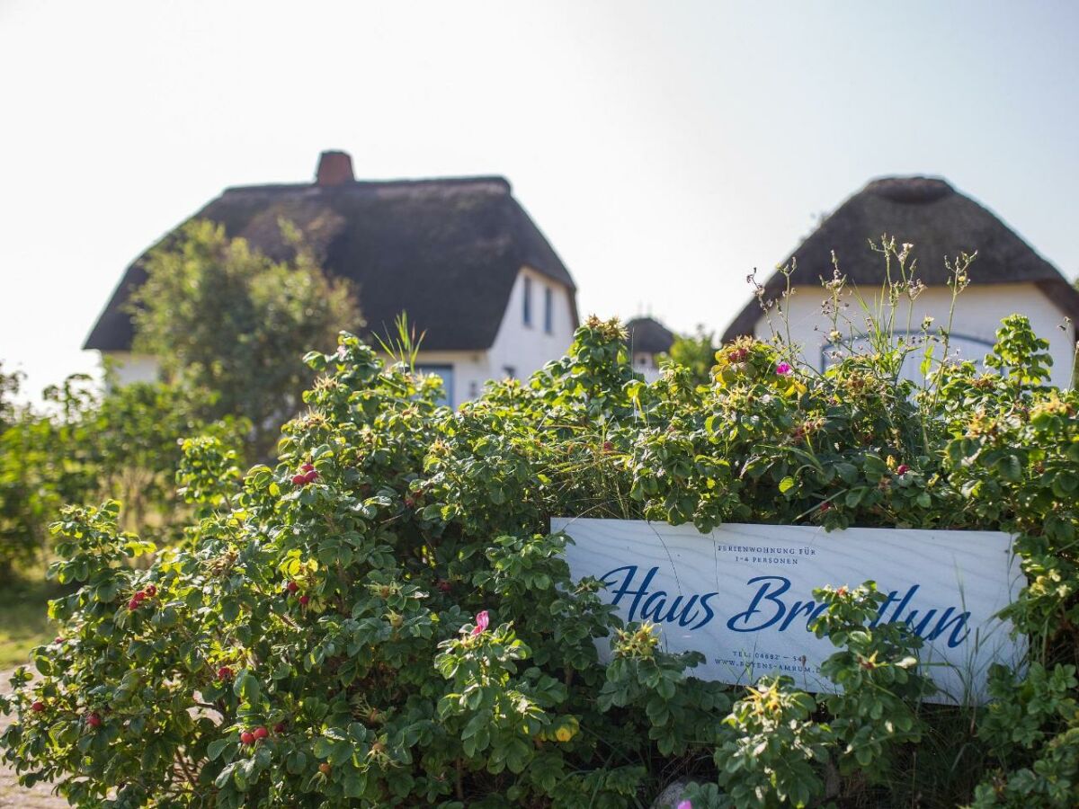 Holiday Apartment Haus Braatlun Wohnung 2 Norddorf Company
