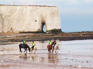 Appartamento per vacanze Broadstairs Ambiente 33
