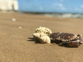 Appartamento per vacanze Broadstairs Registrazione all'aperto 14