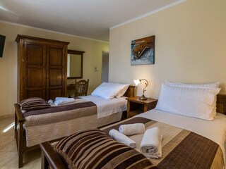 Villa Šišan Caratteristiche 18