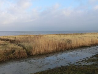 Appartement de vacances Dangast Environnement 11
