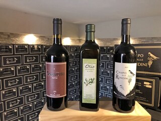 Casa per le vacanze Bibbona Caratteristiche 12