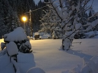 Appartamento per vacanze Auffach Registrazione all'aperto 7