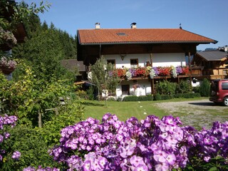 Appartamento per vacanze Auffach Caratteristiche 29