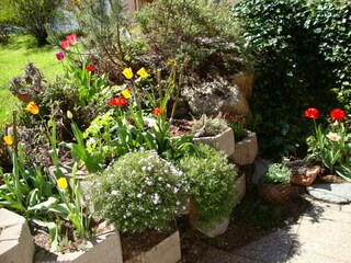 Appartamento per vacanze Auffach Registrazione all'aperto 16