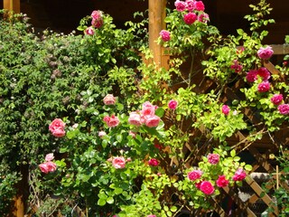 Appartamento per vacanze Auffach Registrazione all'aperto 9