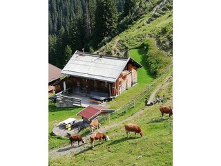 Appartamento per vacanze Auffach Ambiente 31