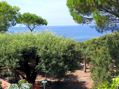 Holiday apartment Sounds of the sea