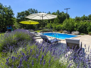 Casa per le vacanze Žminj Registrazione all'aperto 2