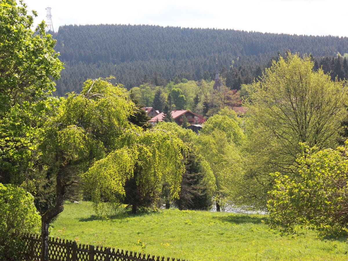 Ferienwohnung Schönes Leben 3