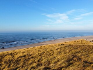 Appartement de vacances Callantsoog Environnement 22