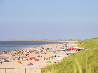 Appartement de vacances Callantsoog Environnement 24