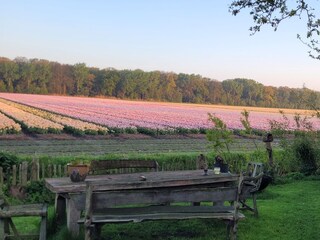 Apartment Sint Maartensvlotbrug Umgebung 24