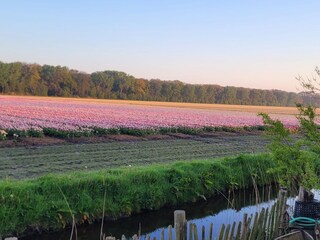 Apartment Sint Maartensvlotbrug Umgebung 25