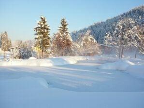 Luxus-Chalet in Gaschurn mit Sauna - Gaschurn - image1