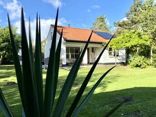 Casa de vacaciones Cadzand-Bad Grabación al aire libre 2