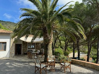 Villa Capoliveri Registrazione all'aperto 2