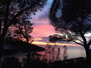 Appartamento per vacanze Capoliveri Registrazione all'aperto 20