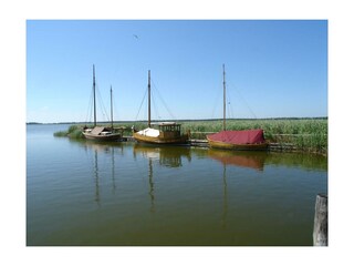 Prerow, Hafen