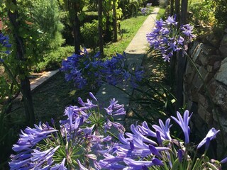 Vakantiehuisje Diano Marina Buitenaudio-opname 15