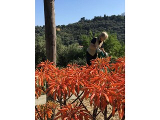 Vakantiehuisje Diano Marina Buitenaudio-opname 26