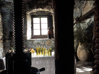 olive oil mill
