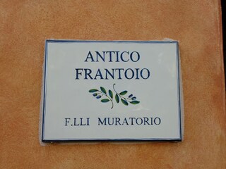 olive oil mill
