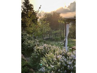 Casa vacanze Diano Marina Registrazione all'aperto 11