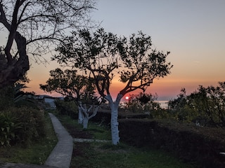 Casa vacanze Diano Marina Registrazione all'aperto 29