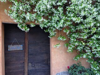 olive oil mill old door