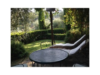 garden amid olive trees