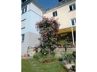 Ferienwohnung Dresden-Plauen Umgebung 4
