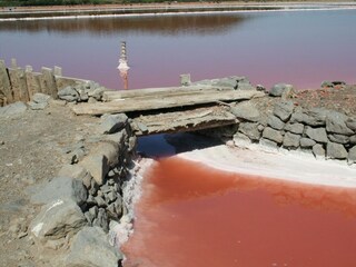 Casa per le vacanze Gruissan Ambiente 15