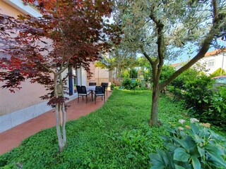 Ferienwohnung Novigrad (Istrien) Außenaufnahme 3