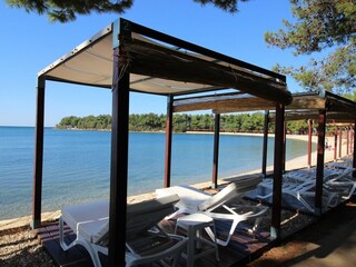 Ferienwohnung Novigrad (Istrien) Umgebung 19