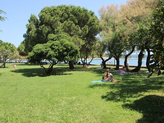 Ferienwohnung Novigrad (Istrien) Umgebung 12