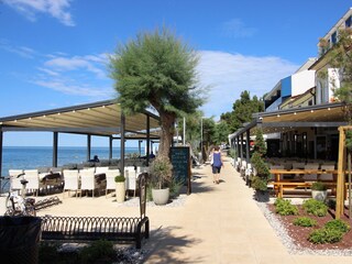 Ferienwohnung Novigrad (Istrien) Umgebung 18