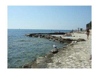 Ferienwohnung Novigrad (Istrien) Umgebung 16