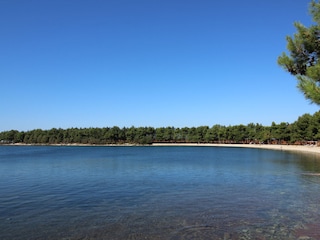 Ferienwohnung Novigrad (Istrien) Umgebung 18
