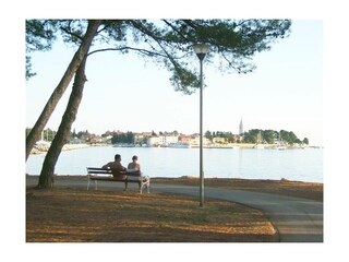 Ferienwohnung Novigrad (Istrien) Umgebung 19